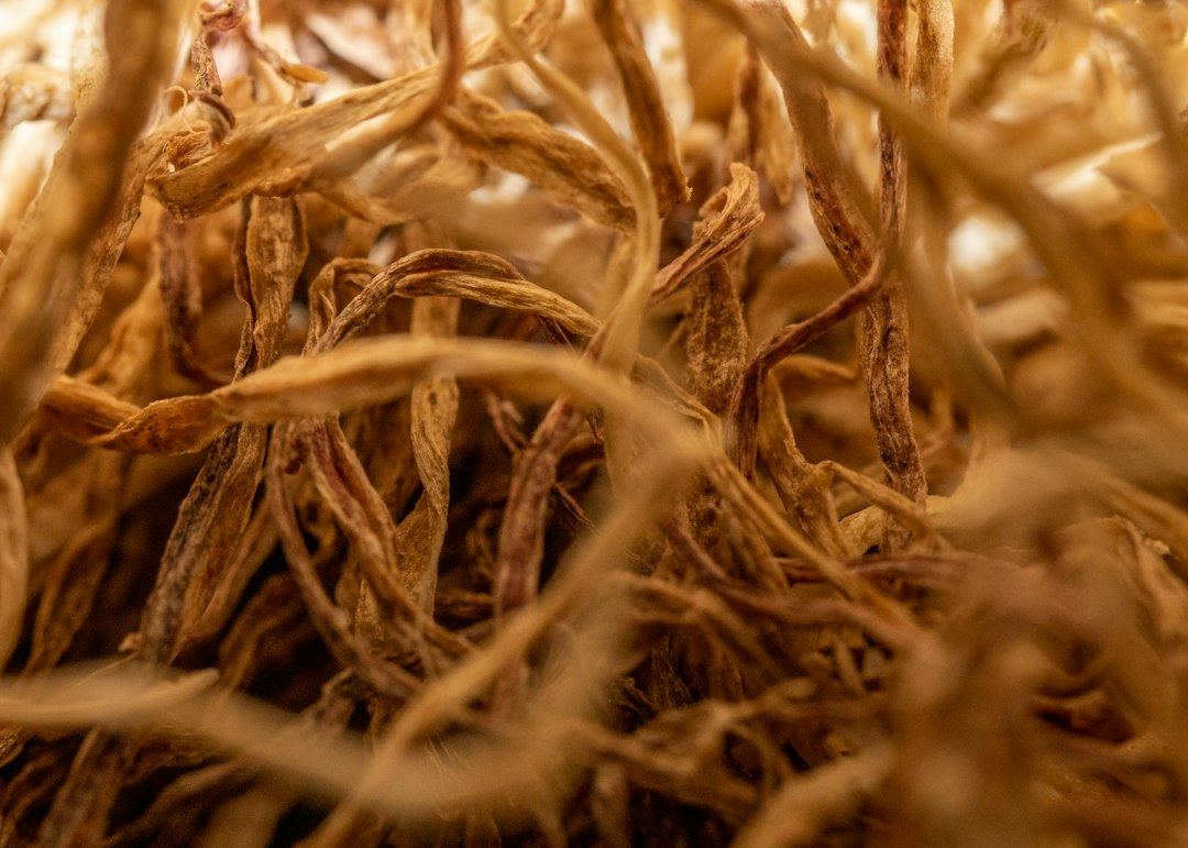 Korean Red Ginseng: What It Is Actually Good For (and What to Skip)